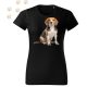 Beagle (02) mintás Női póló - Több színben