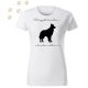 Border Collie (01) mintás Női póló - Több színben