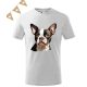 Boston Terrier (11) mintás Gyerek póló - Több színben