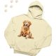 Golden Retriever (03) mintás kapucnis pulóver - Több színben