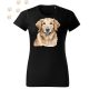 Golden Retriever (06) mintás Női póló - Több színben