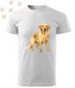 Golden Retriever (10) mintás Férfi-unisex póló - Több színben