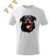 Rottweiler (08) mintás Gyerek póló - Több színben