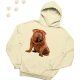 Shar Pei (05) mintás kapucnis pulóver - Több színben